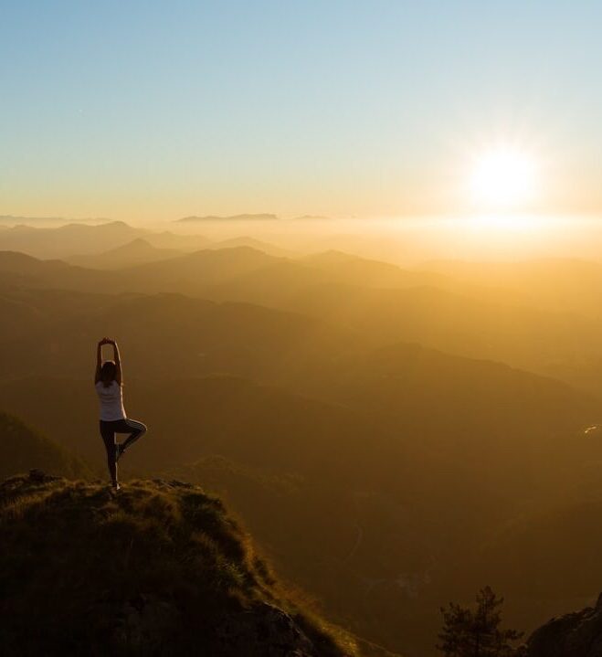 Gravid der dyrker yoga i naturen